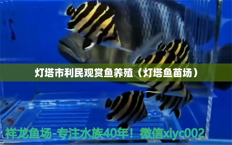 灯塔市利民观赏鱼养殖（灯塔鱼苗场） 全国水族馆企业名录