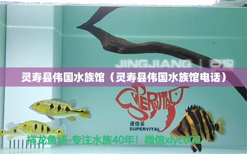 灵寿县伟国水族馆（灵寿县伟国水族馆电话） 全国水族馆企业名录