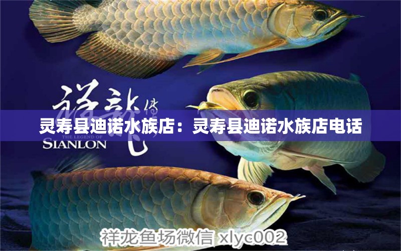 灵寿县迪诺水族店：灵寿县迪诺水族店电话 全国水族馆企业名录