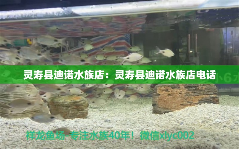 灵寿县迪诺水族店：灵寿县迪诺水族店电话 全国水族馆企业名录