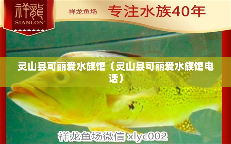 灵山县可丽爱水族馆（灵山县可丽爱水族馆电话）