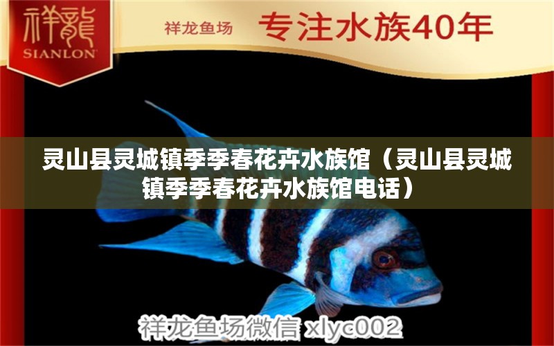 灵山县灵城镇季季春花卉水族馆（灵山县灵城镇季季春花卉水族馆电话） 全国水族馆企业名录