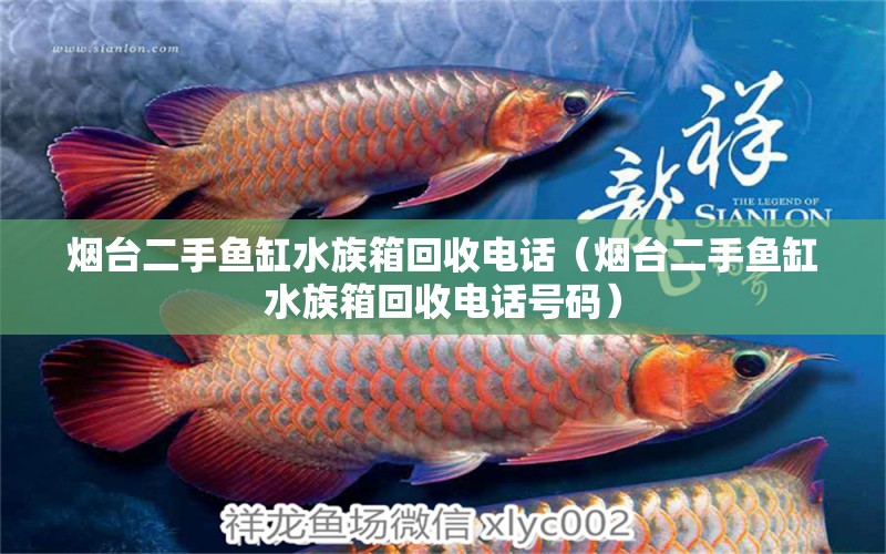 烟台二手鱼缸水族箱回收电话（烟台二手鱼缸水族箱回收电话号码） 鱼缸/水族箱