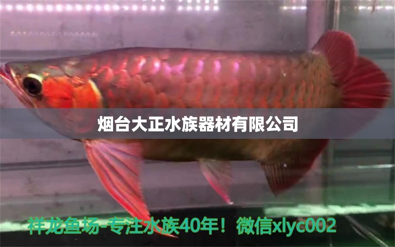 烟台大正水族器材有限公司