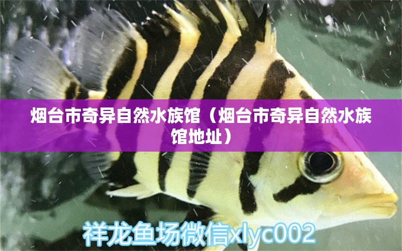 烟台市奇异自然水族馆（烟台市奇异自然水族馆地址） 全国水族馆企业名录