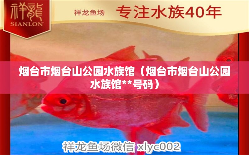 烟台市烟台山公园水族馆（烟台市烟台山公园水族馆**号码）