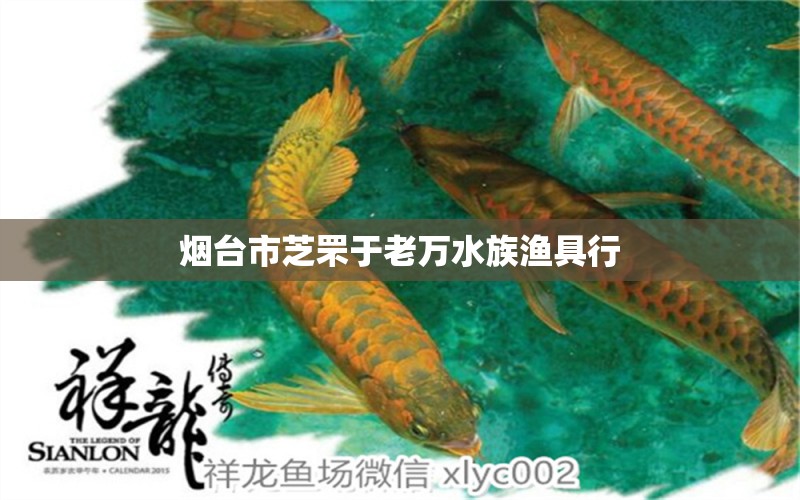 烟台市芝罘于老万水族渔具行