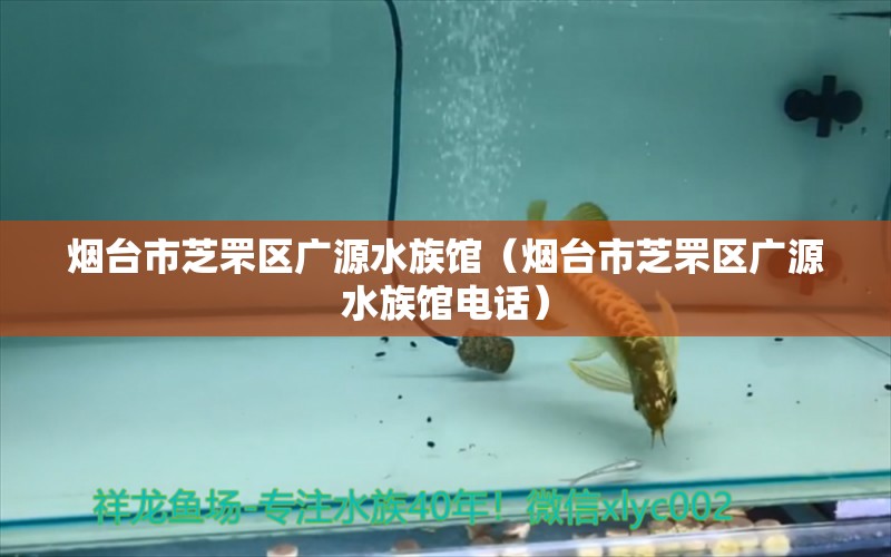 烟台市芝罘区广源水族馆（烟台市芝罘区广源水族馆电话）