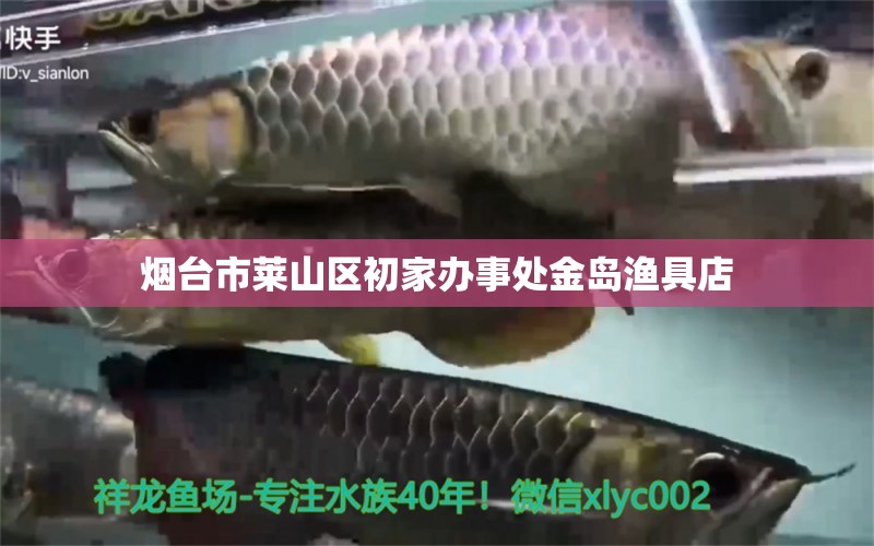 烟台市莱山区初家办事处金岛渔具店 全国水族馆企业名录