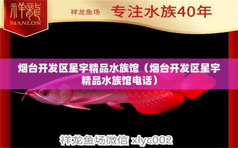 烟台开发区星宇精品水族馆（烟台开发区星宇精品水族馆电话）