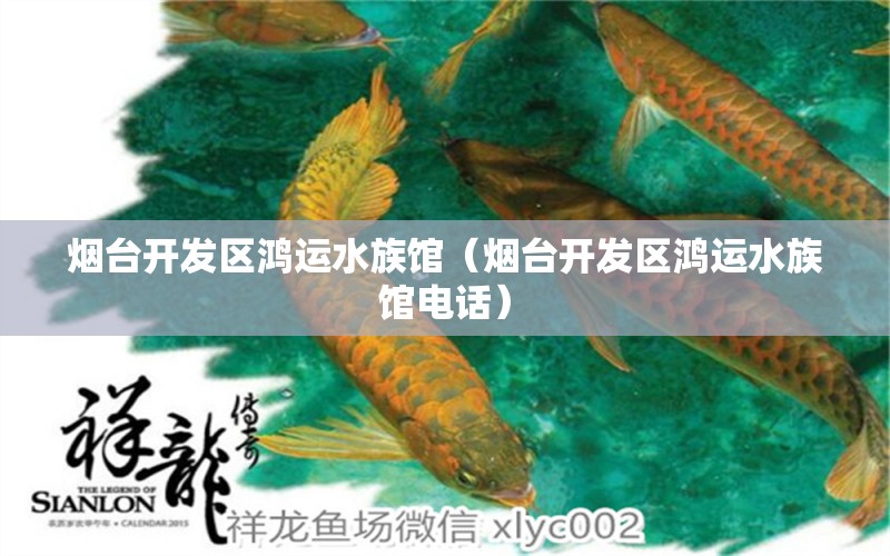 烟台开发区鸿运水族馆（烟台开发区鸿运水族馆电话）