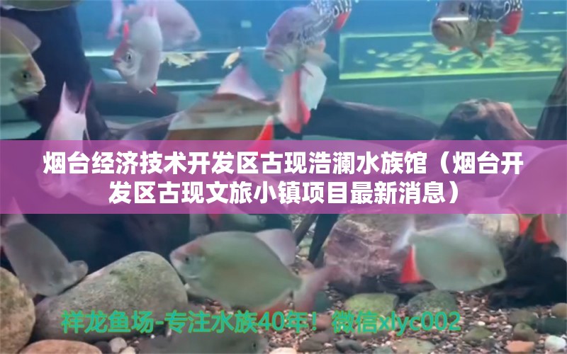 烟台经济技术开发区古现浩澜水族馆（烟台开发区古现文旅小镇项目最新消息）