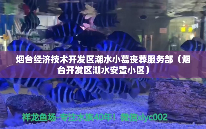 烟台经济技术开发区潮水小葛丧葬服务部（烟台开发区潮水安置小区）