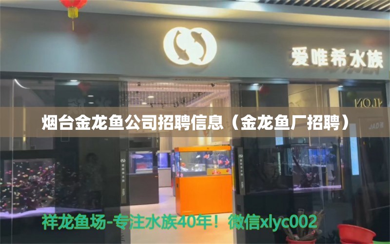 烟台金龙鱼公司招聘信息（金龙鱼厂招聘） 广州观赏鱼批发市场