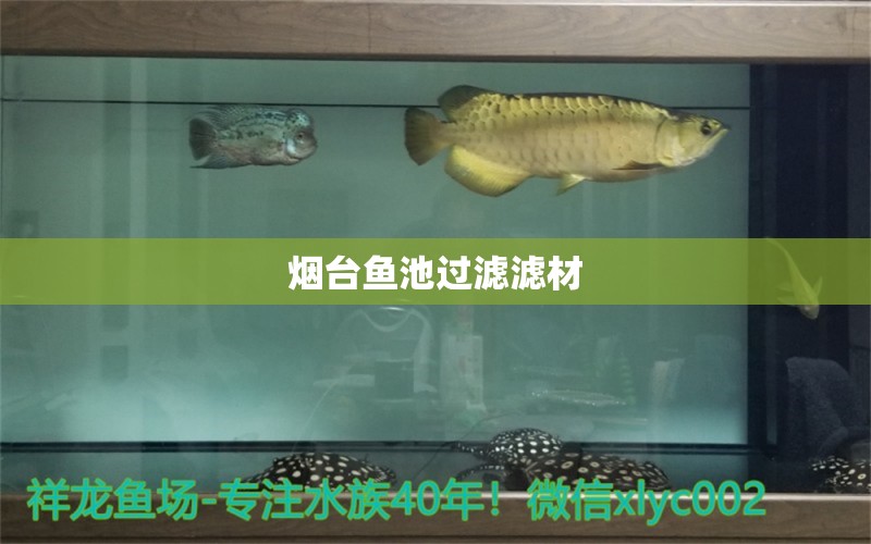 烟台鱼池过滤滤材 广州水族器材滤材批发市场