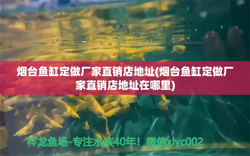 烟台鱼缸定做厂家直销店地址(烟台鱼缸定做厂家直销店地址在哪里) 星点金龙鱼