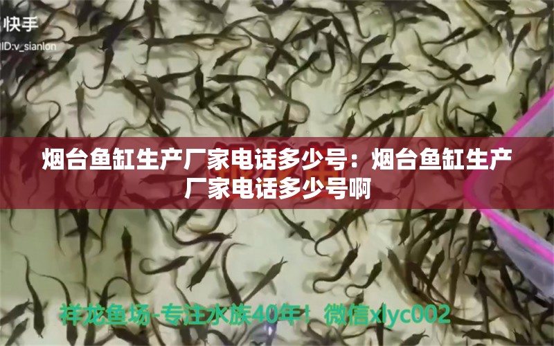 烟台鱼缸生产厂家电话多少号：烟台鱼缸生产厂家电话多少号啊