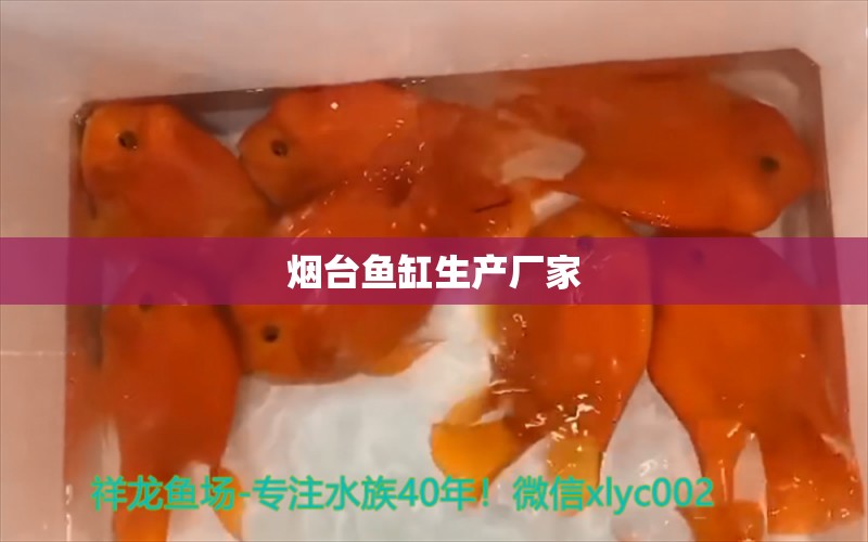 烟台鱼缸生产厂家