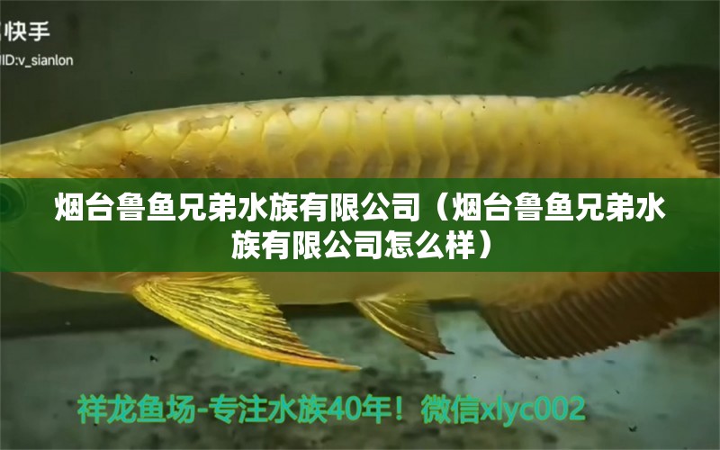 烟台鲁鱼兄弟水族有限公司（烟台鲁鱼兄弟水族有限公司怎么样） 全国水族馆企业名录