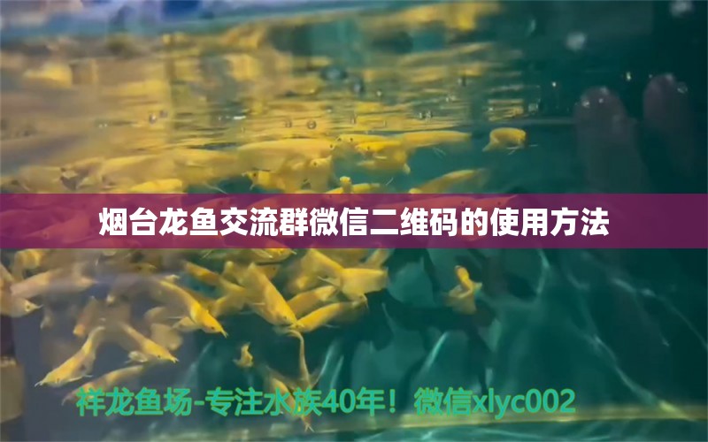 烟台龙鱼交流群微信二维码的使用方法 观赏鱼