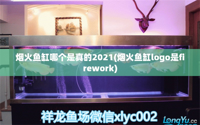 烟火鱼缸哪个是真的2021(烟火鱼缸logo是firework) 金龙福龙鱼 第2张