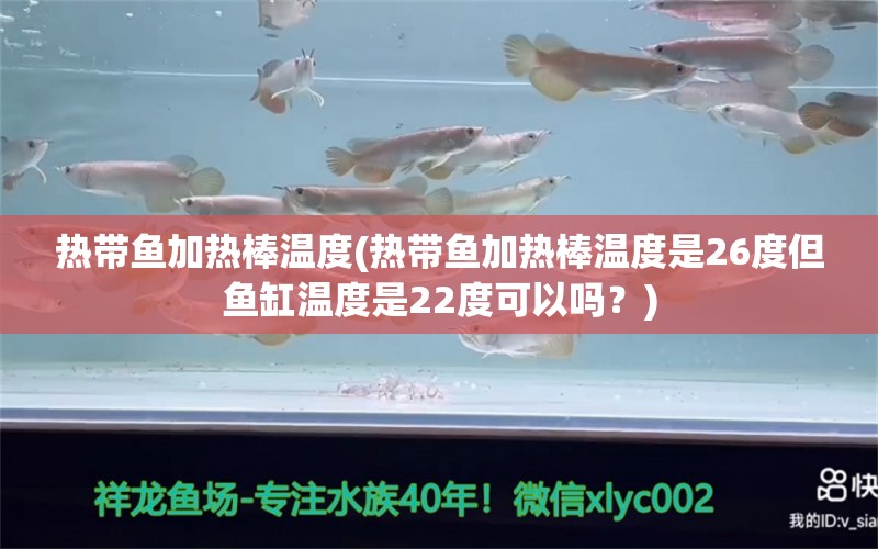 热带鱼加热棒温度(热带鱼加热棒温度是26度但鱼缸温度是22度可以吗？) 羽毛刀鱼苗