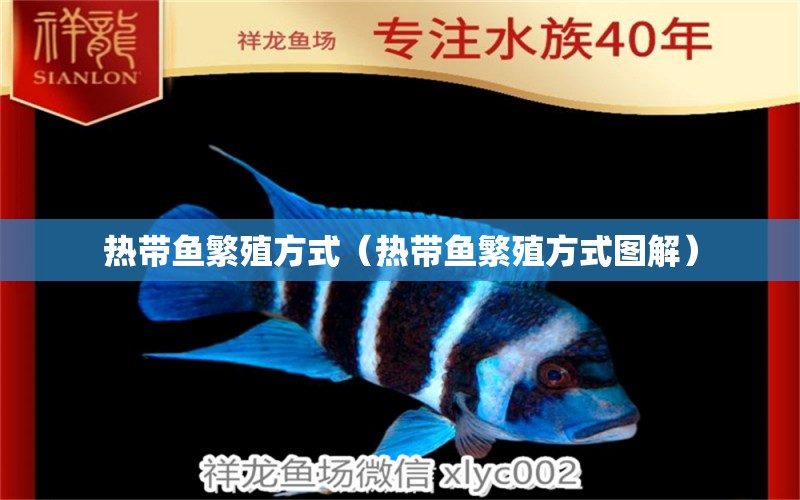 热带鱼繁殖方式（热带鱼繁殖方式图解） 祥龙水族医院