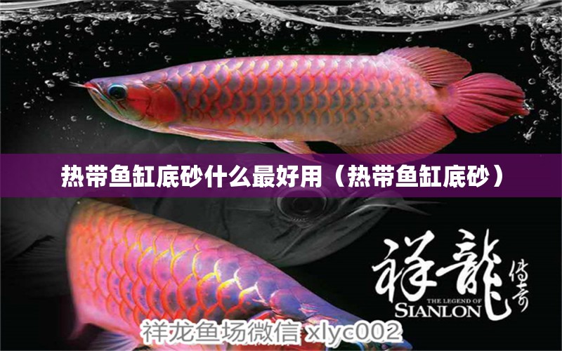 热带鱼缸底砂什么最好用（热带鱼缸底砂） 广州观赏鱼批发市场