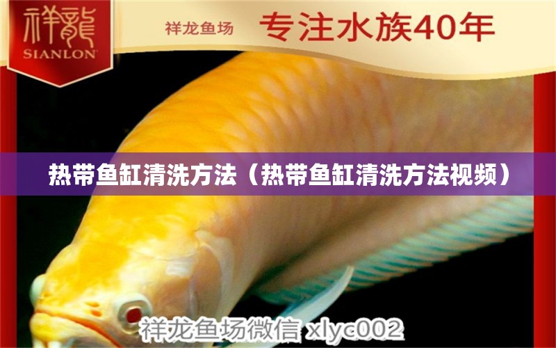 热带鱼缸清洗方法（热带鱼缸清洗方法视频） 祥龙水族医院