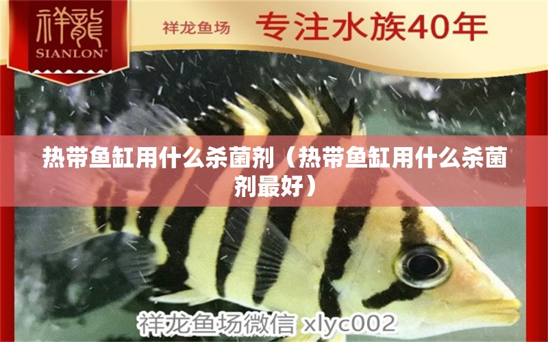 热带鱼缸用什么杀菌剂（热带鱼缸用什么杀菌剂最好） 祥龙水族医院