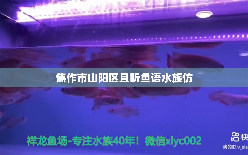 焦作市山阳区且听鱼语水族仿