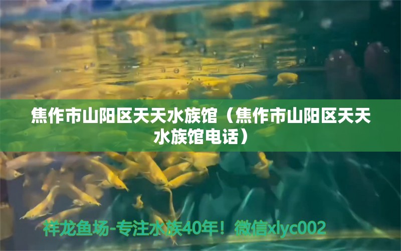 焦作市山阳区天天水族馆（焦作市山阳区天天水族馆电话） 全国水族馆企业名录