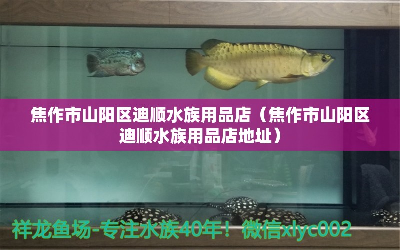 焦作市山阳区迪顺水族用品店（焦作市山阳区迪顺水族用品店地址）