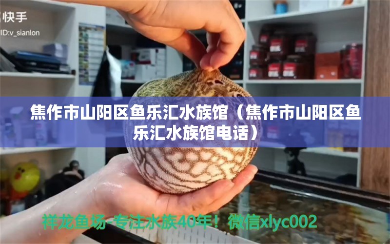 焦作市山阳区鱼乐汇水族馆（焦作市山阳区鱼乐汇水族馆电话）