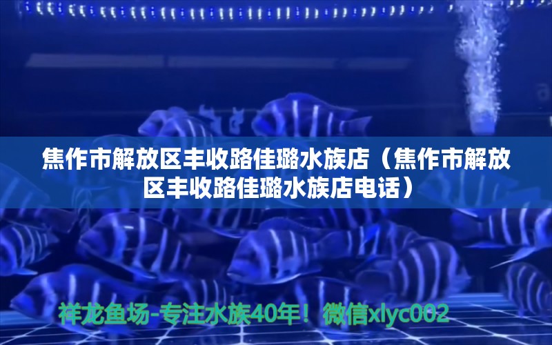 焦作市解放区丰收路佳璐水族店（焦作市解放区丰收路佳璐水族店电话） 全国水族馆企业名录