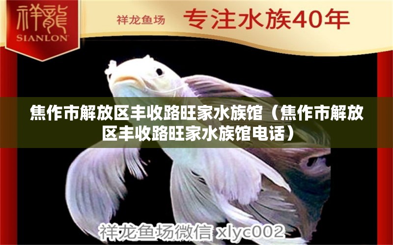 焦作市解放区丰收路旺家水族馆（焦作市解放区丰收路旺家水族馆电话）