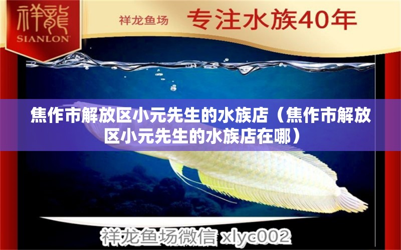 焦作市解放区小元先生的水族店（焦作市解放区小元先生的水族店在哪） 全国水族馆企业名录