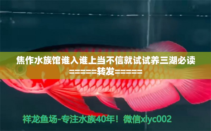 焦作水族馆谁入谁上当不信就试试养三湖必读=====转发=====