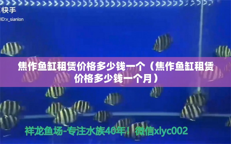 焦作鱼缸租赁价格多少钱一个（焦作鱼缸租赁价格多少钱一个月） 祥龙水族医院