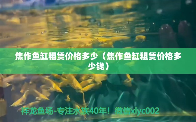 焦作鱼缸租赁价格多少（焦作鱼缸租赁价格多少钱） 祥龙水族医院