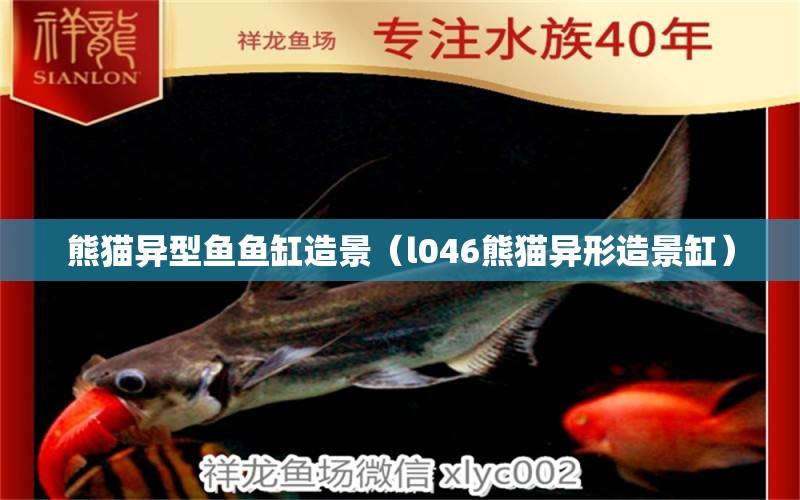 熊猫异型鱼鱼缸造景（l046熊猫异形造景缸） 红魔王银版鱼