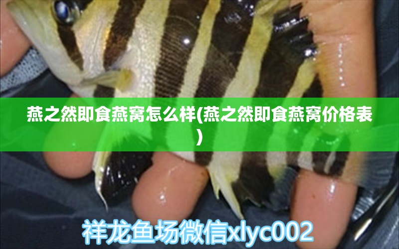 燕之然即食燕窝怎么样(燕之然即食燕窝价格表)