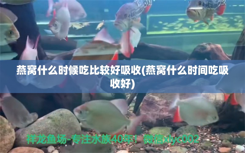 燕窝什么时候吃比较好吸收(燕窝什么时间吃吸收好) 马来西亚燕窝 第1张