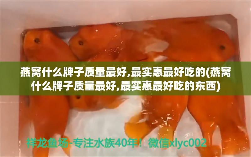 燕窝什么牌子质量最好,最实惠最好吃的(燕窝什么牌子质量最好,最实惠最好吃的东西)