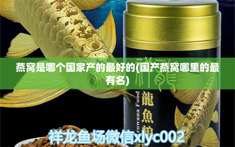 燕窝是哪个国家产的最好的(国产燕窝哪里的最有名)