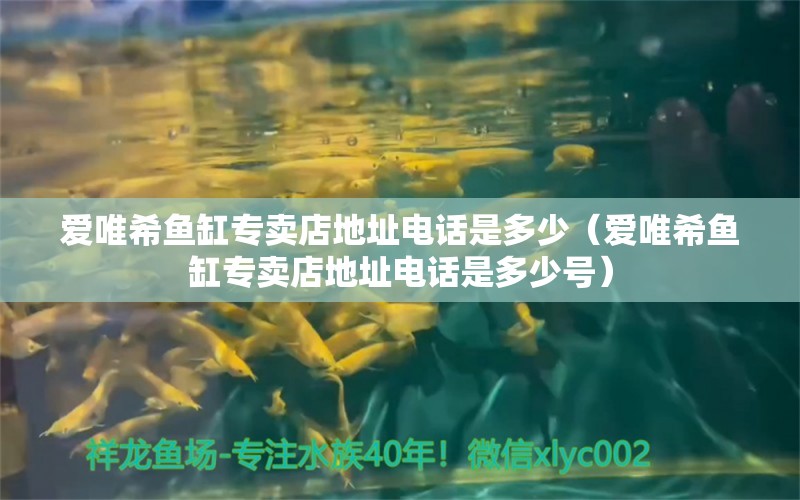 爱唯希鱼缸专卖店地址电话是多少（爱唯希鱼缸专卖店地址电话是多少号）