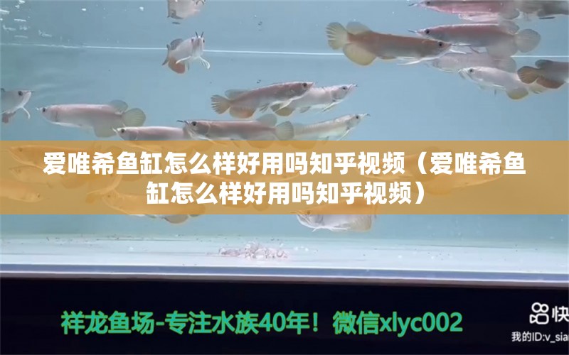 爱唯希鱼缸怎么样好用吗知乎视频（爱唯希鱼缸怎么样好用吗知乎视频） iwish爱唯希品牌鱼缸