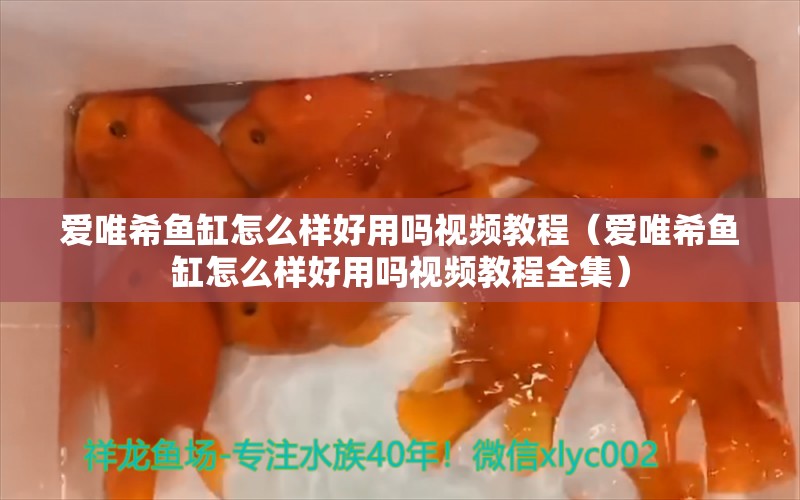 爱唯希鱼缸怎么样好用吗视频教程（爱唯希鱼缸怎么样好用吗视频教程全集） iwish爱唯希品牌鱼缸