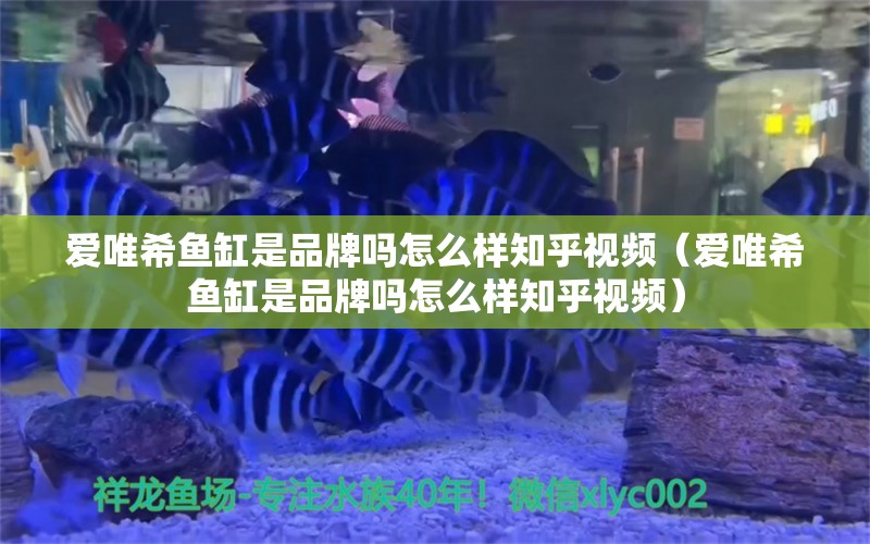 爱唯希鱼缸是品牌吗怎么样知乎视频（爱唯希鱼缸是品牌吗怎么样知乎视频） iwish爱唯希品牌鱼缸