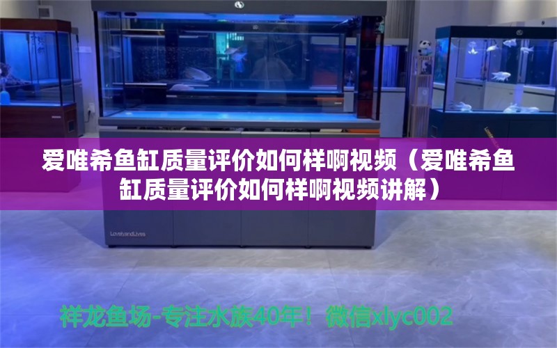 爱唯希鱼缸质量评价如何样啊视频（爱唯希鱼缸质量评价如何样啊视频讲解）